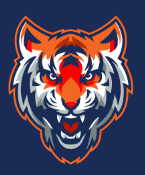 The Academy Phoenix tiger head logo